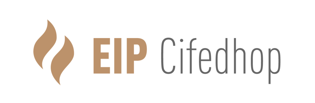 logo eip