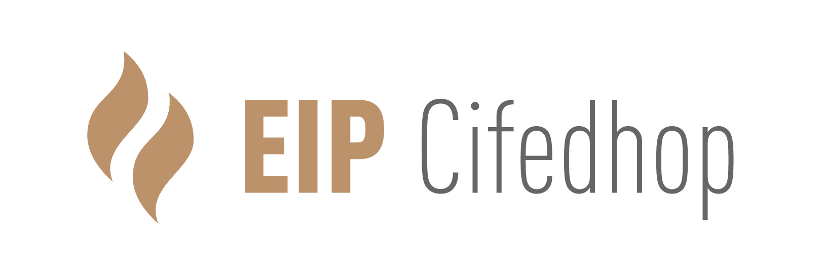 logo eip